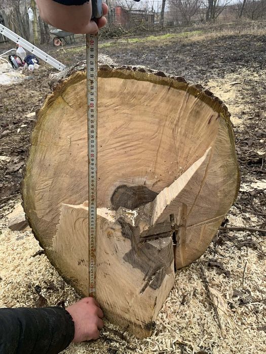 Lemn de Nuc , utilizat in scop de constrctie sau in scopul de creea ..