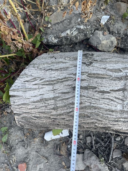 Орех-дърво на трупи