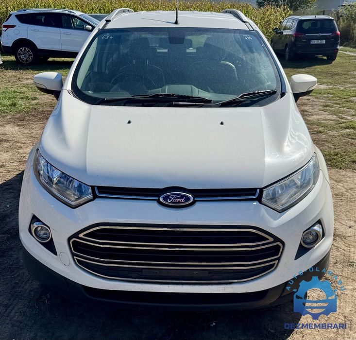 Capota motor Ford EcoSport II 2013-2017 2014