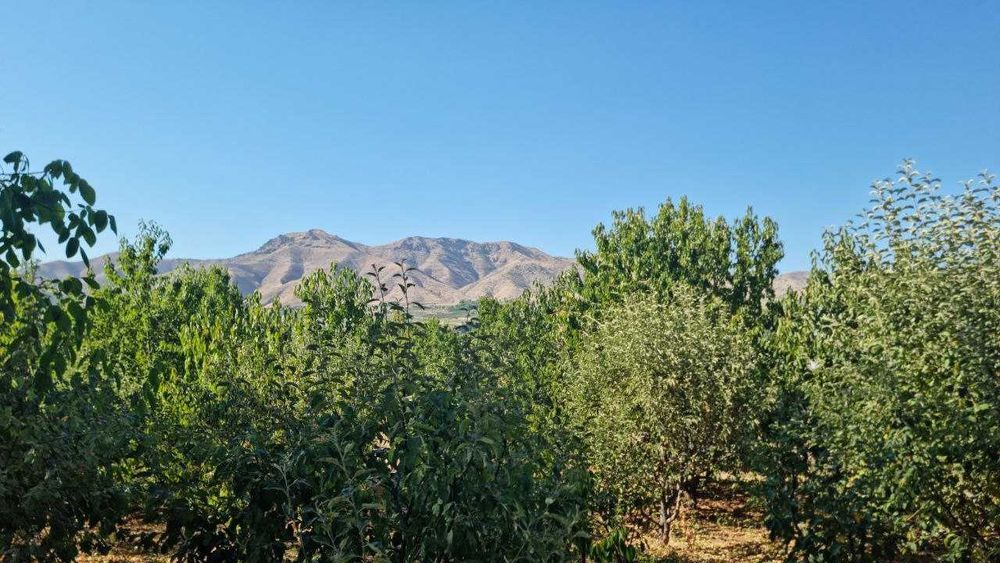 Tog‘ yon bag‘rida, Orzungizdagi Maskan!