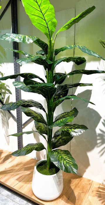 Суний гуллар ва драхтлар