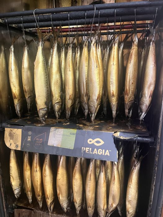 Рыба хк гк вялка