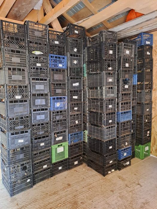 Vând lădițe pt cartofi