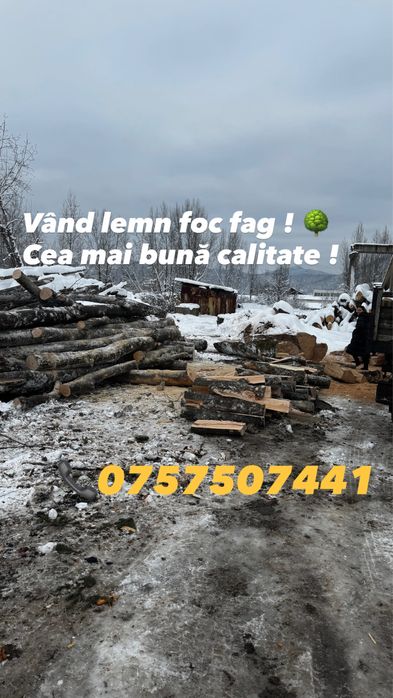 Vand lemn foc fag !