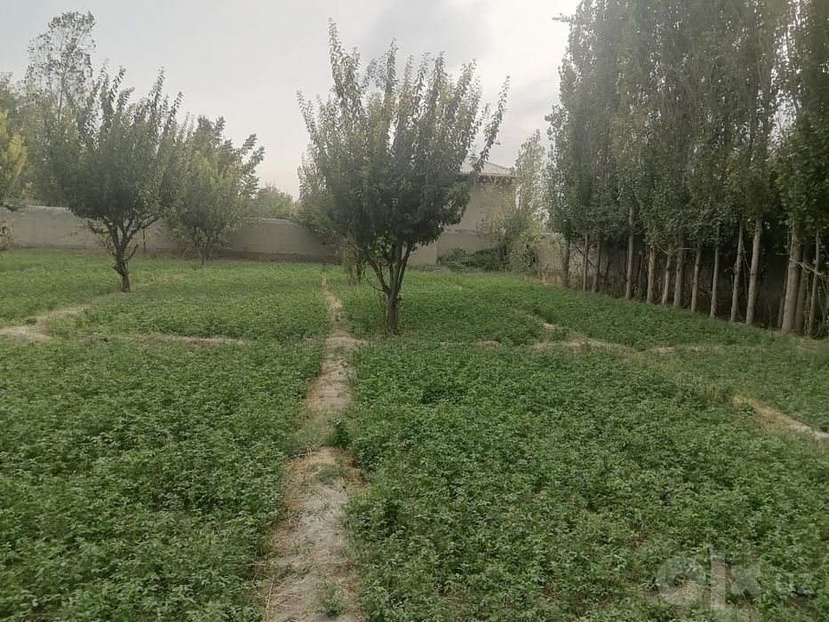 Uy xovli sotiladi