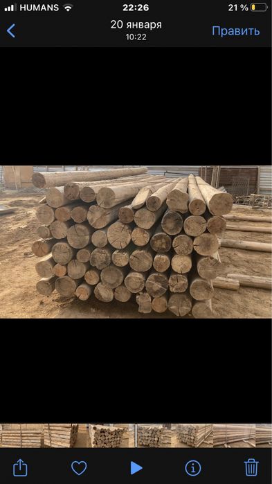 Тусин сосна бу 4-6м диаметр 18-25