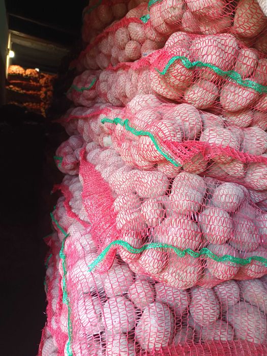 Cartofi consum şi sămânță de vânzare.