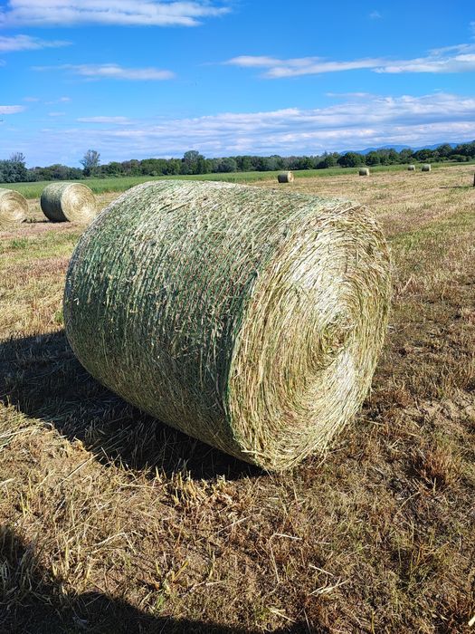 Продавам Люцерна и Сено