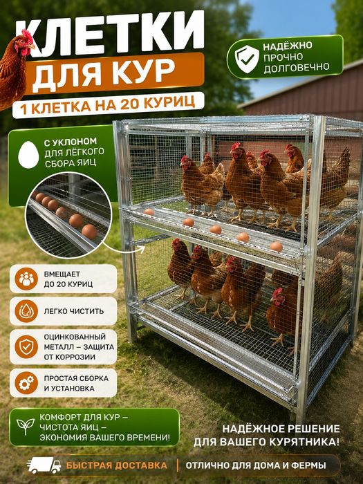 Клетка для кур и для птиц