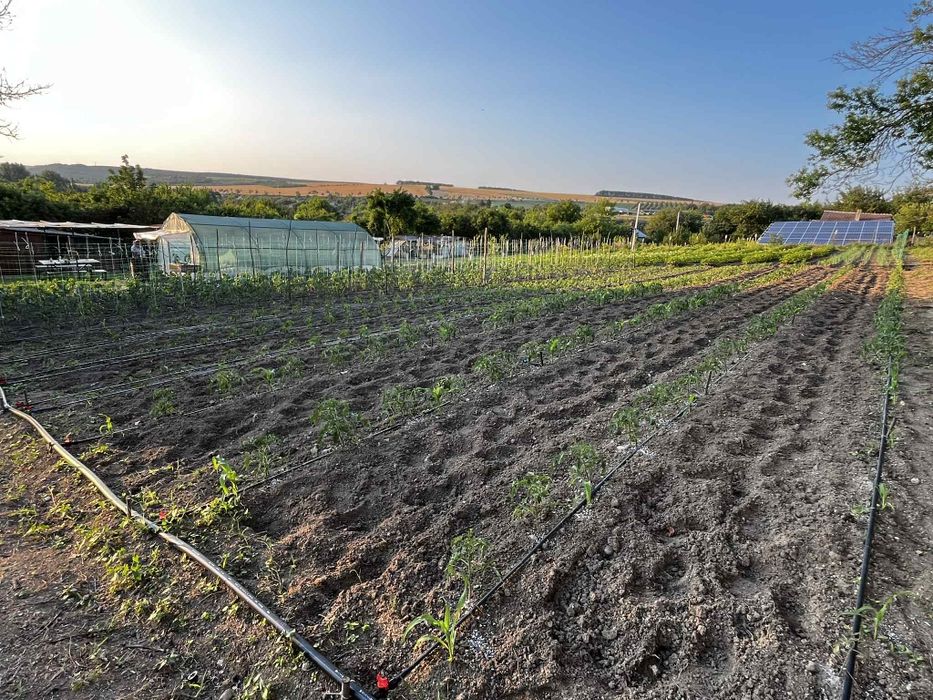 Продава се Парцел в с. Одринци, Област Добрич - 1240 кв.м за 9 €/кв.м - Снимка #4