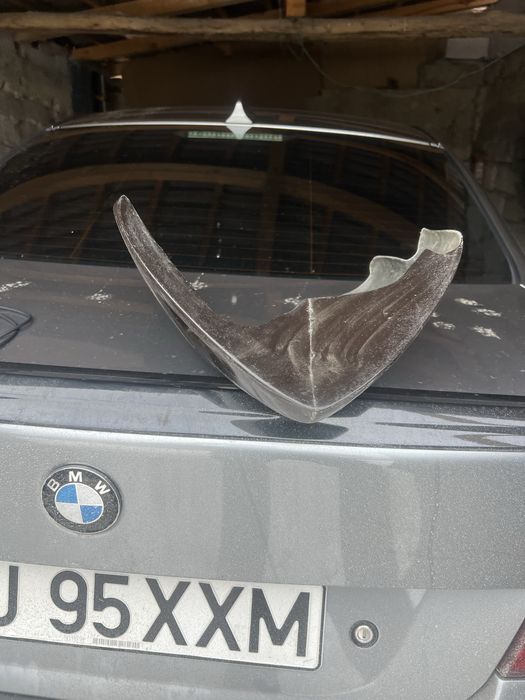 Bug spoiler z750 kawasaki