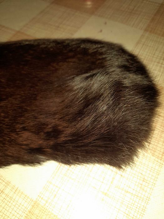 Естествена кожа шал в два цвята  бордо и кафяво. Има и яки:)