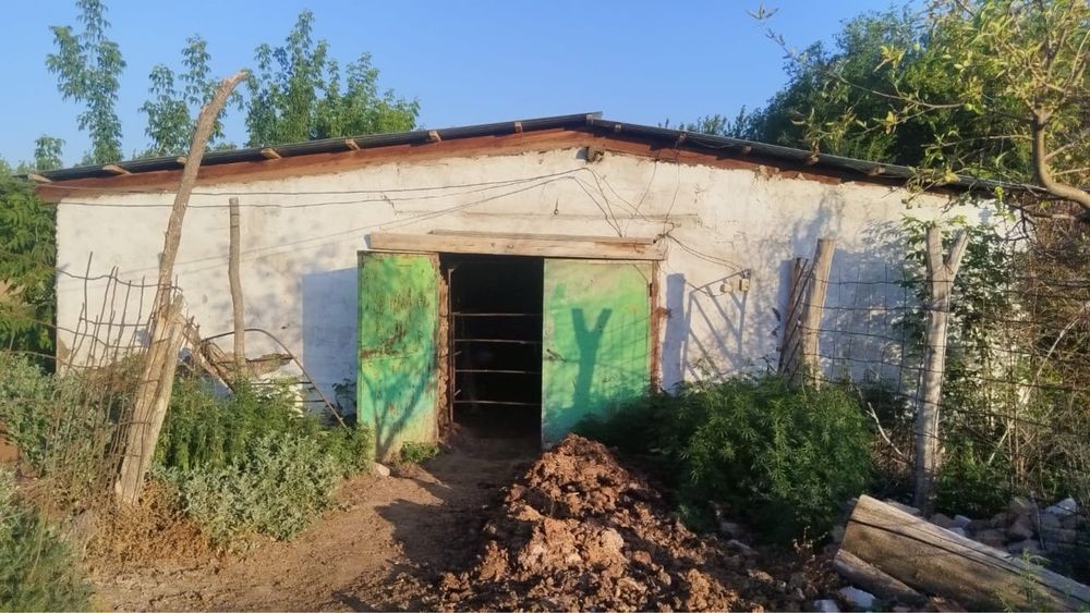 Продам откорм базу