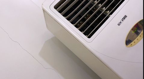 kanditsaner sotiladi