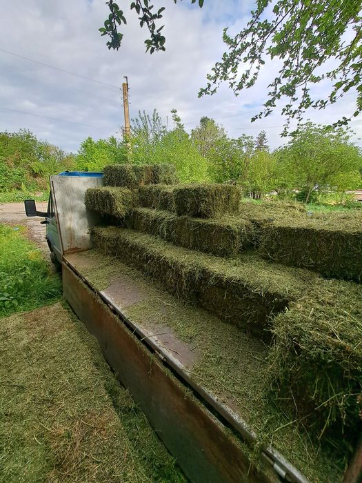 Бали люцерна 2026 година