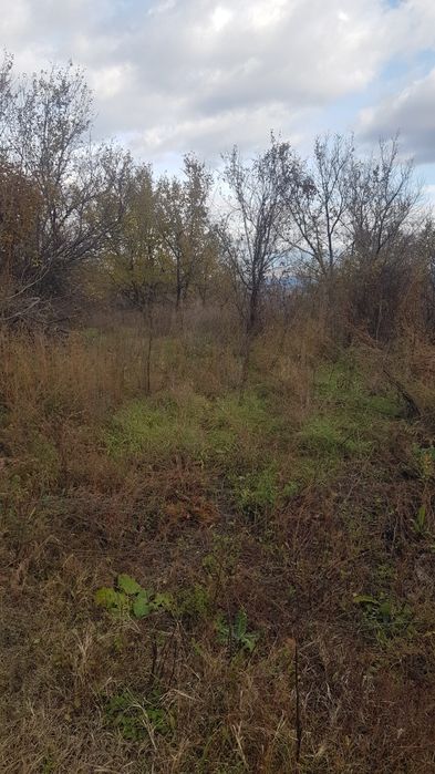 Продава се Парцел в Бобошево - 440 кв.м за 12 €/кв.м - Снимка #3