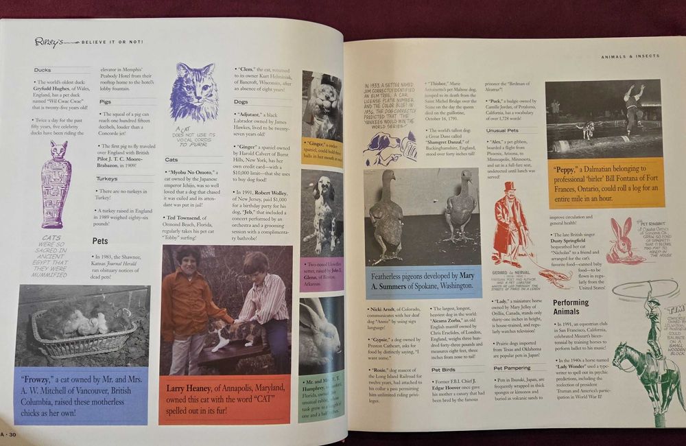 Encyclopedia of the Bizarre