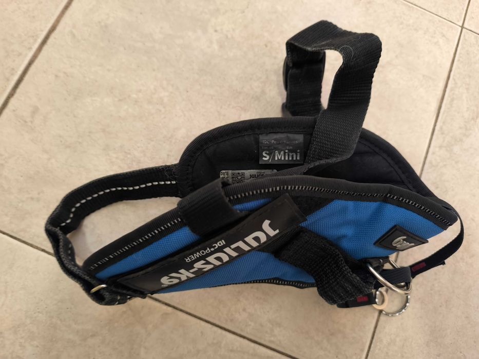 Дъждобран и нагръдник за куче