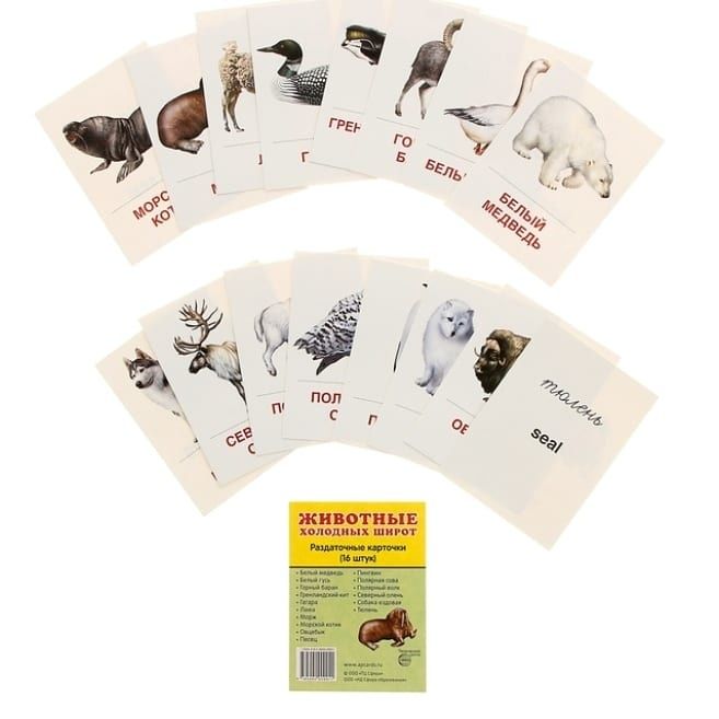 Карточки для малышей