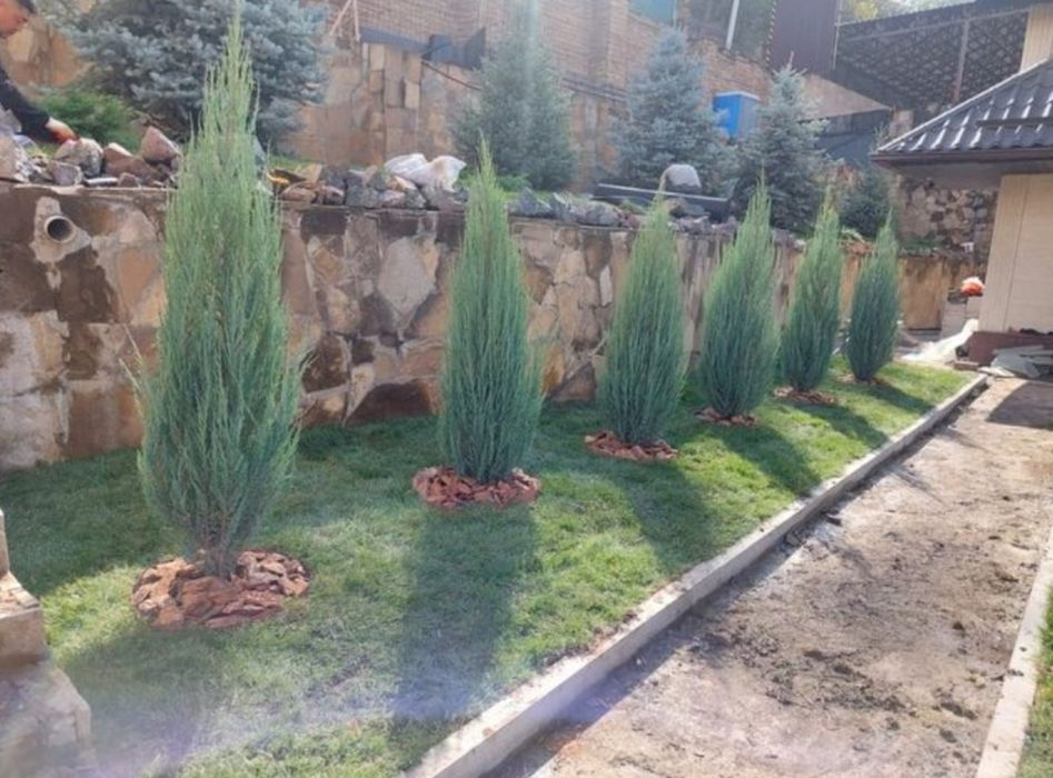 Ландшафтный дизайн