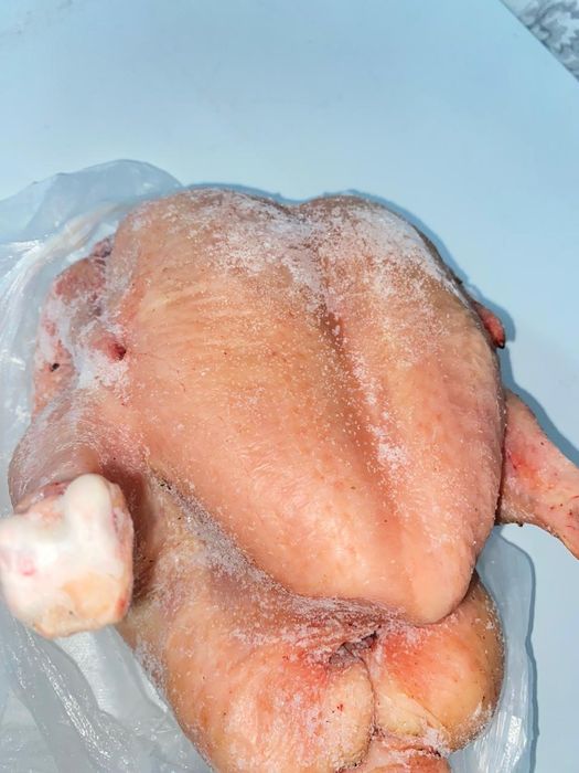 Бройллер домашние