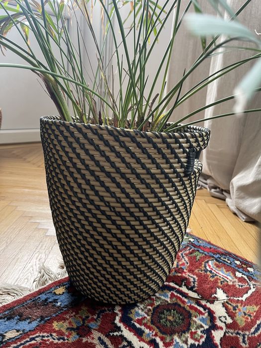 Planta si ghiveci ikea