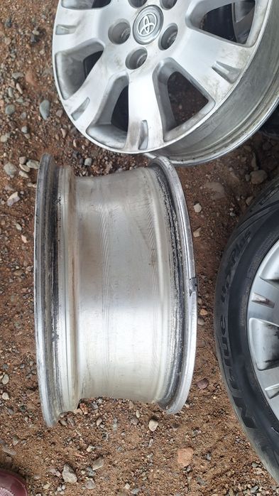 Ромашка титанка R16