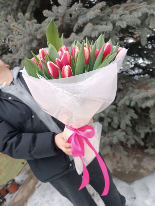 Тюльпаны к 8 марта и 14 февраля.