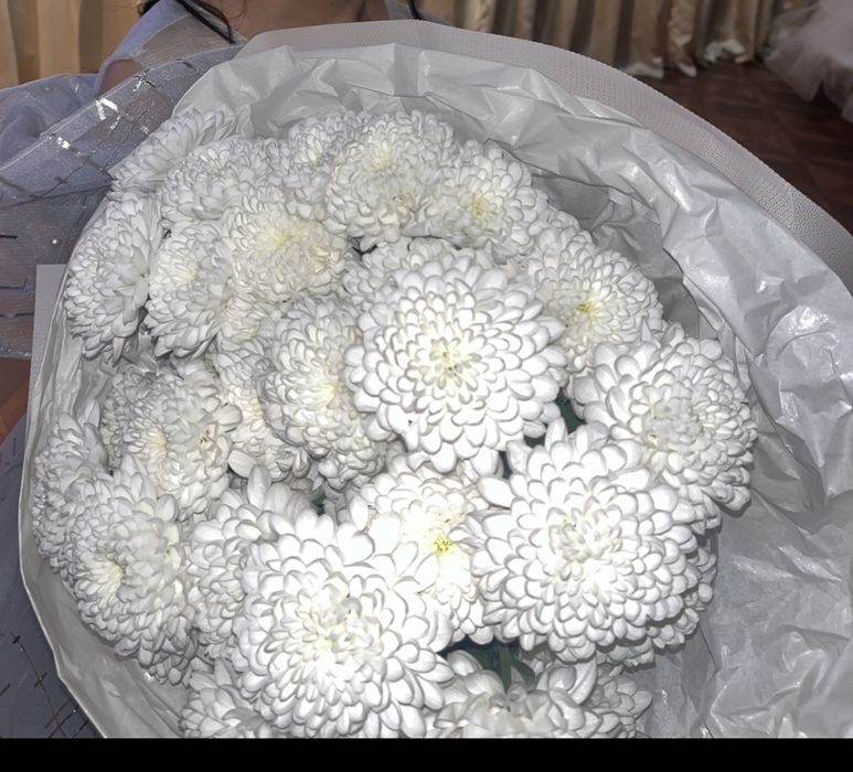 Продам сегодняшний букет хризантем