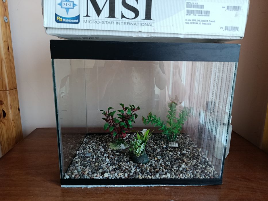 Продается аквариум в комплекте только камни аквариум и цветы