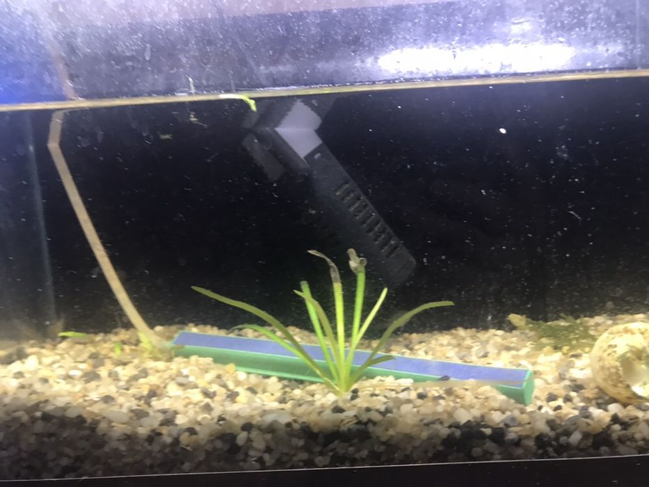 Продам аквариум