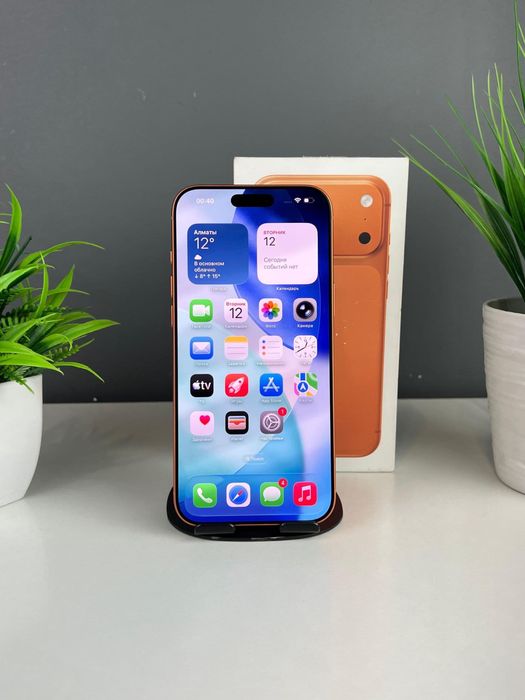 Iphone 17 pro max 256 gb 100%