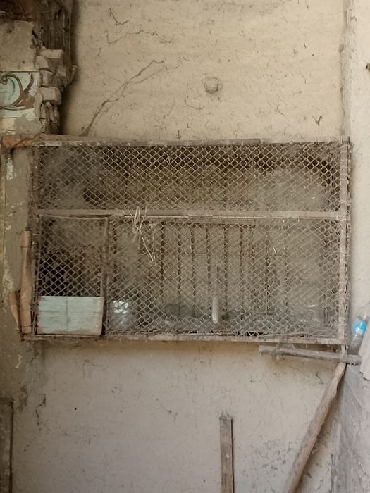 Катак 160см75см буй1м