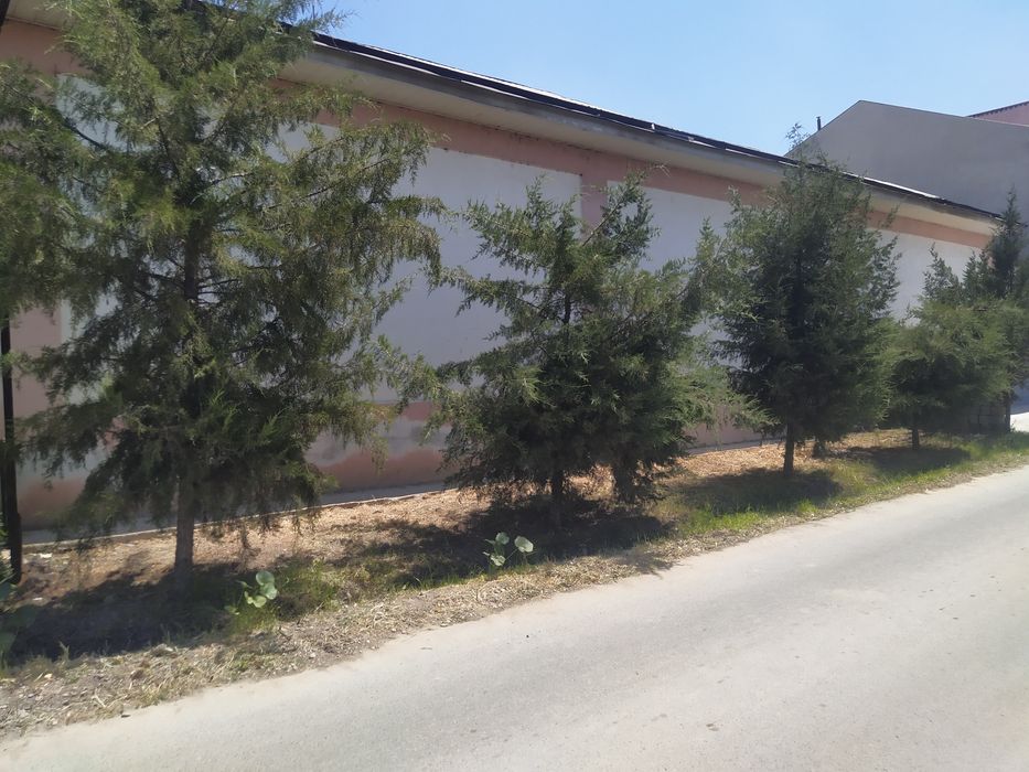 Eski 16 yilliyda ,3 so'tik uchastka sotiladi toshmi po'stidan ropparos