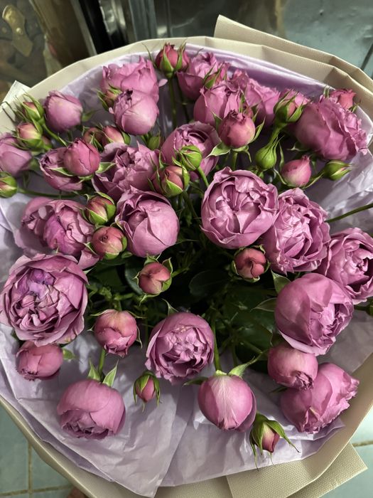 Цветы свежий розы