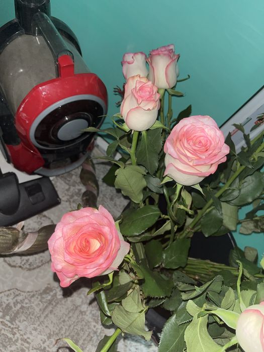Гул кеше алынган 31роза