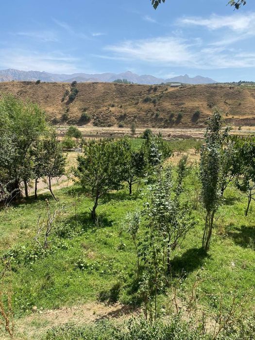 Прадажа земля Кумушкон