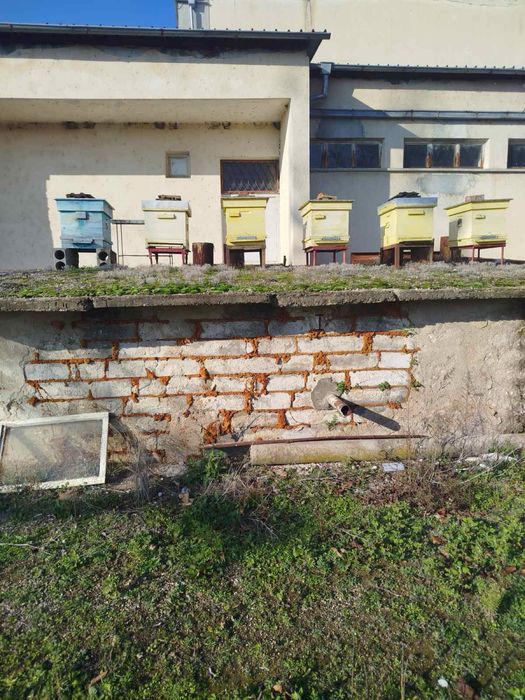 Пчелни кошери с магазини