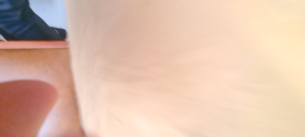 Camaşa Vintage Pitbull West Coast