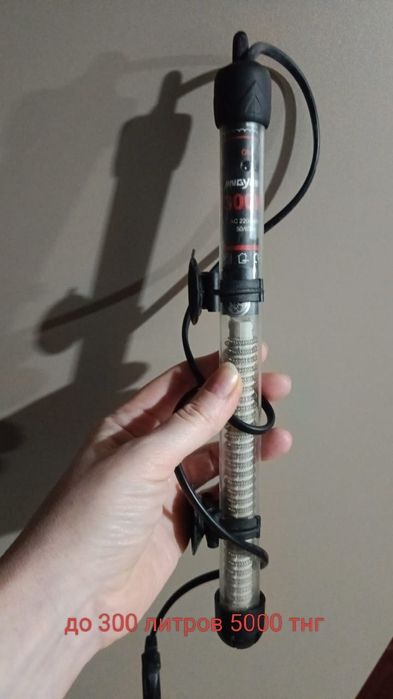 продам для аквариума