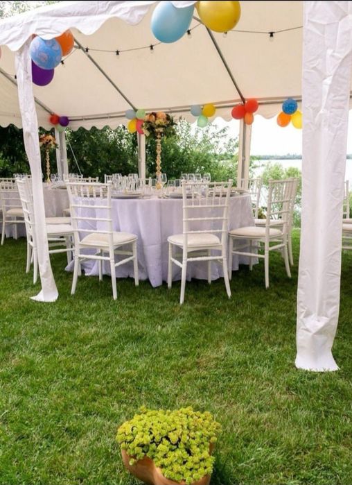 Cort petrecere evenimente