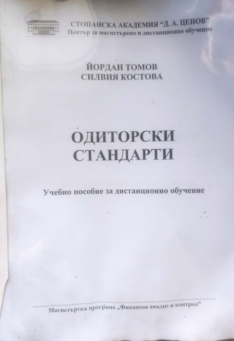 Анализ на бизнес риска, Одиторски стандарти