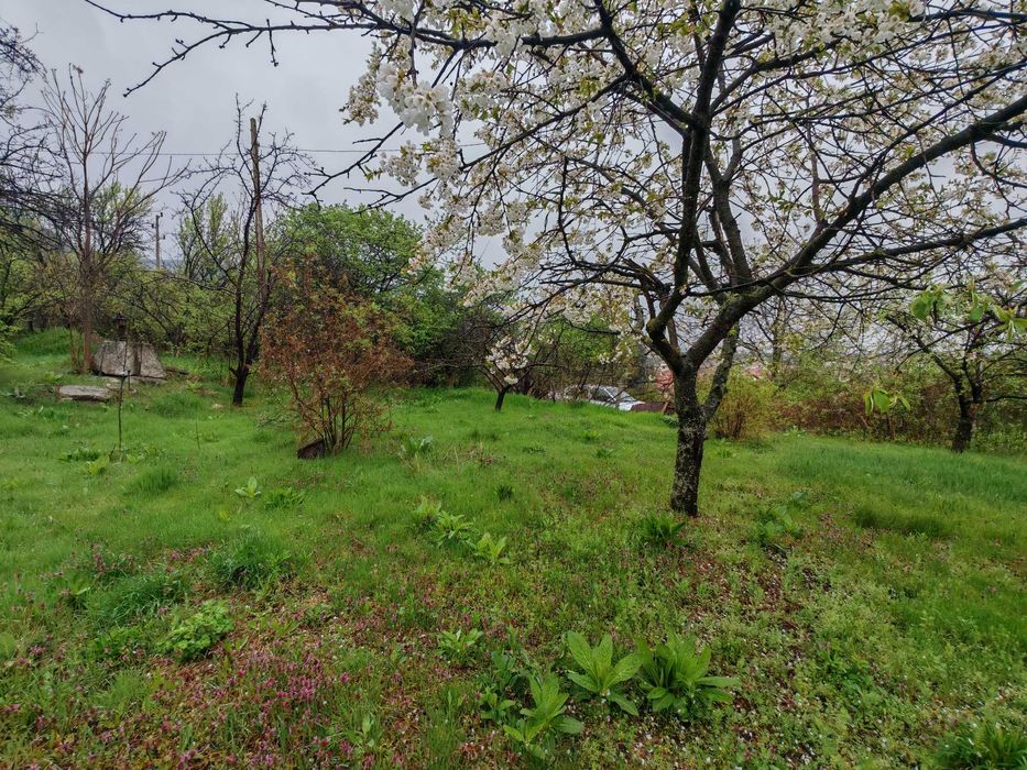 Продава се Къща в Шумен, Дивдядово - 743 кв.м за 89 €/кв.м - Снимка #5