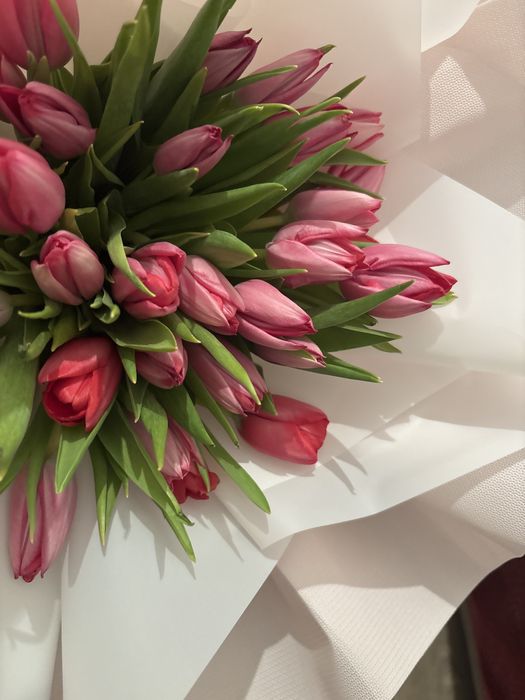 Срочно продаю тюльпаны, подарил парень, который не нравится.