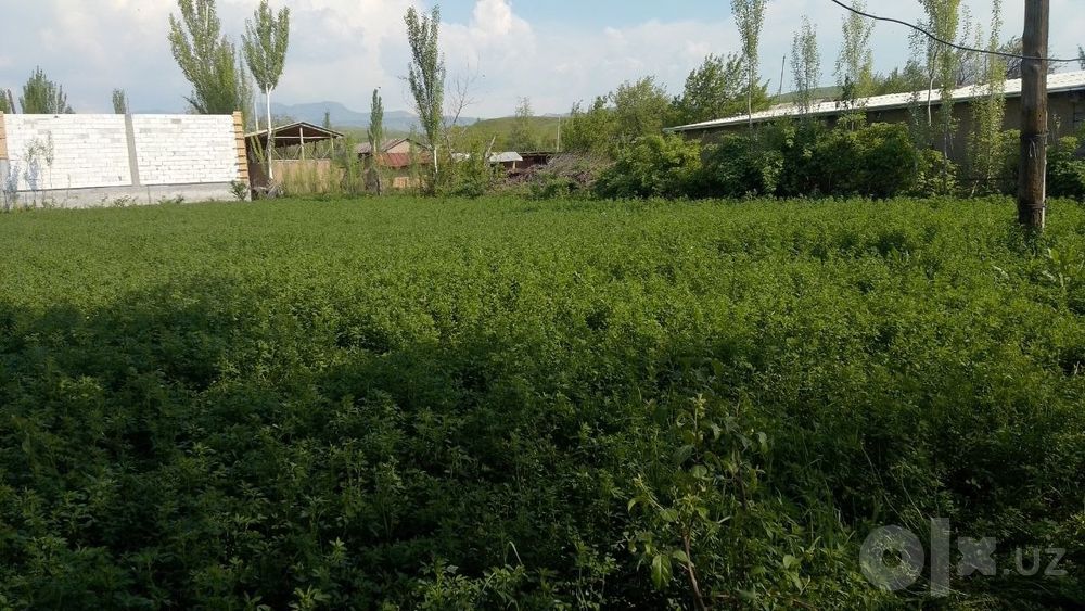 участок с кодастром