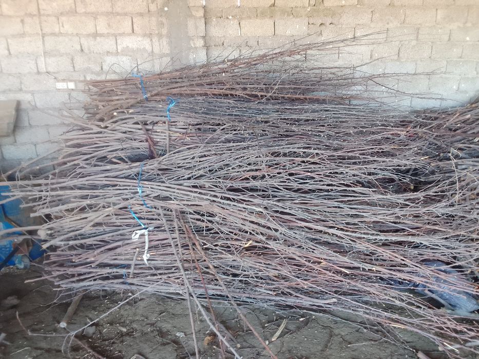 Утин тандирга сотилади