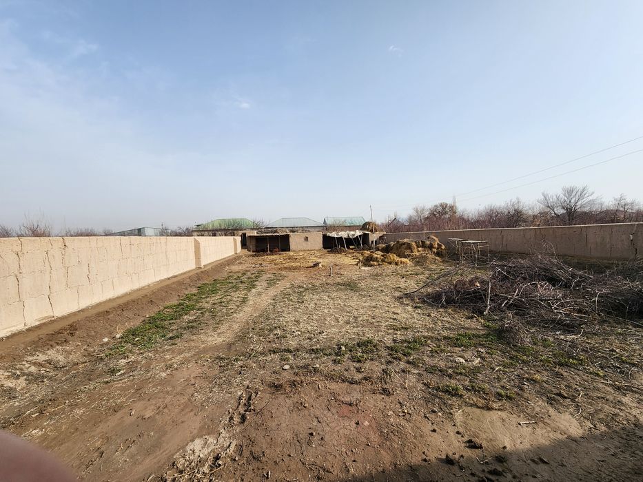 Joy sotiladi 1200 metr kv