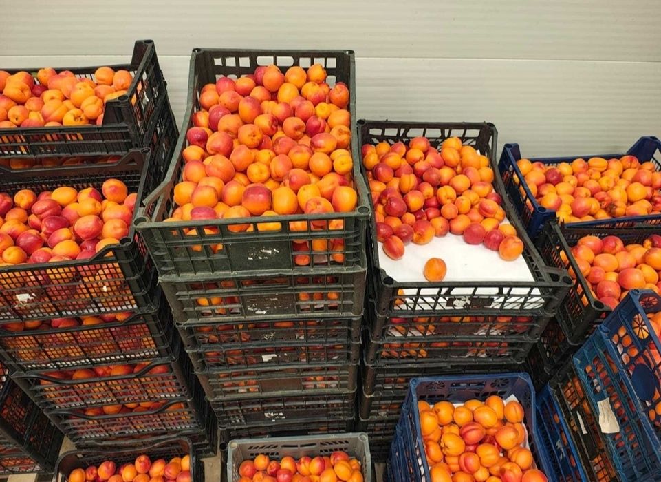 Caise românești pentru țuică tradițională