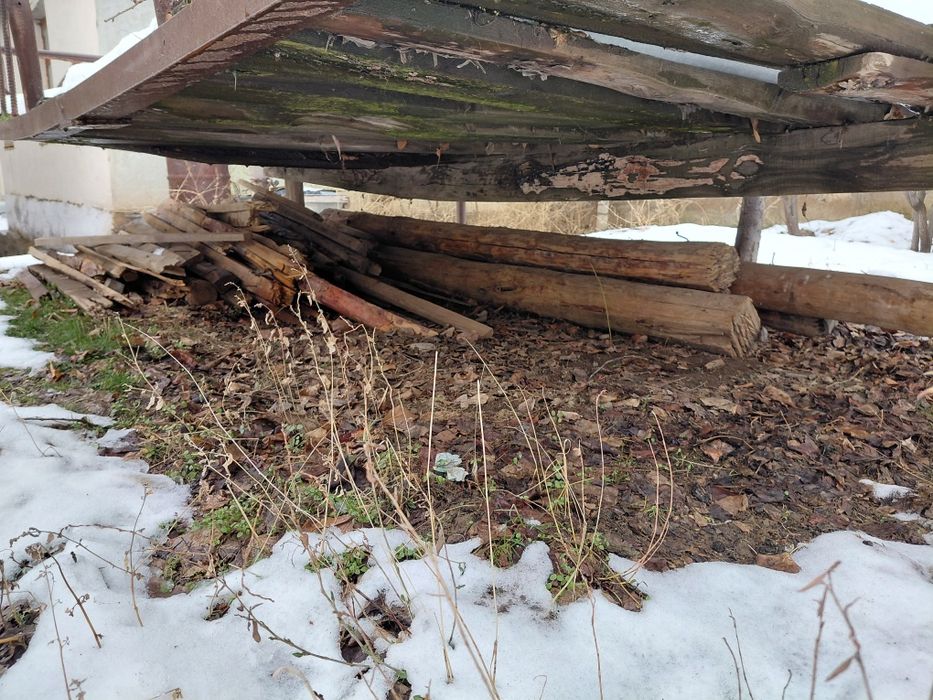 Отын трава отын агаш