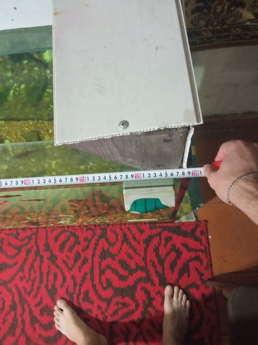 Аквариум в хорошем состоянии